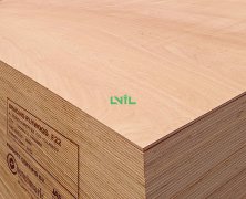 Bracing Plywood AS/NZS 2269 Certified